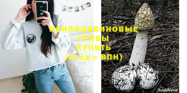 а пвп мука Алзамай