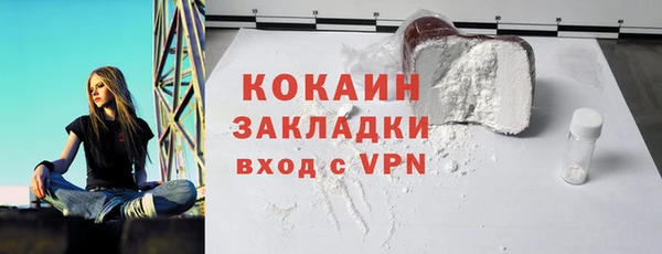 тгк Алексин