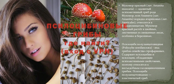 тгк Алексин